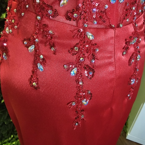 Ladivine by Cinderella dress, size medium, used once - Picture 10 of 13